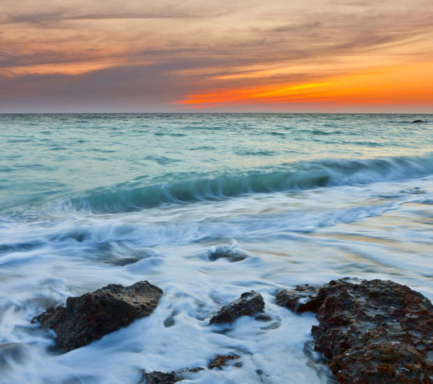 Venice Questions to Ask at Your Dental Implants Consultation